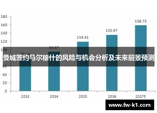 曼城签约马尔穆什的风险与机会分析及未来前景预测 曼城签约马尔穆什的风险与机会分析及未来前景预测