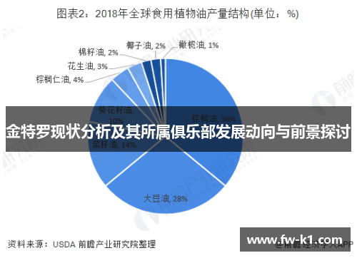 金特罗现状分析及其所属俱乐部发展动向与前景探讨