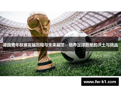 德国青年联赛发展历程与未来展望：培养足球新星的沃土与挑战
