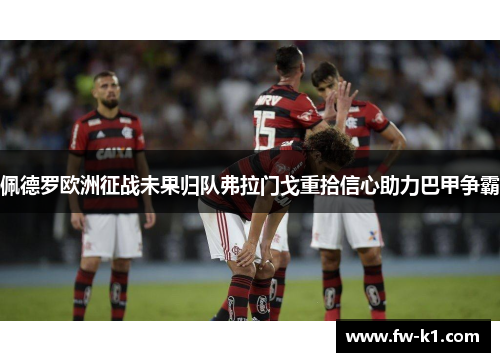 佩德罗欧洲征战未果归队弗拉门戈重拾信心助力巴甲争霸