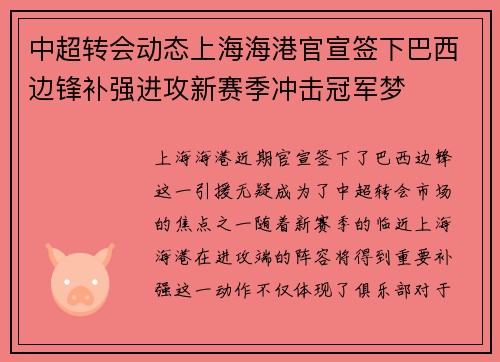 中超转会动态上海海港官宣签下巴西边锋补强进攻新赛季冲击冠军梦