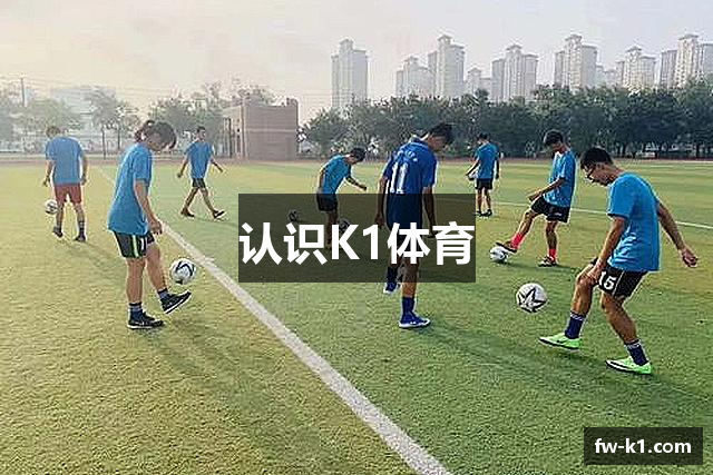 认识K1体育